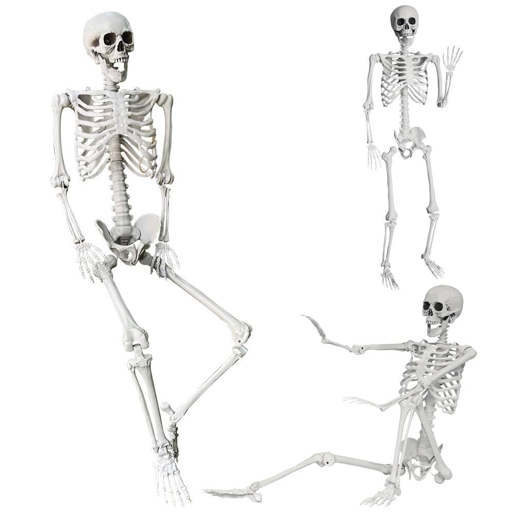 5.4Ft Life Size Skeleton with Movable Joints H393050