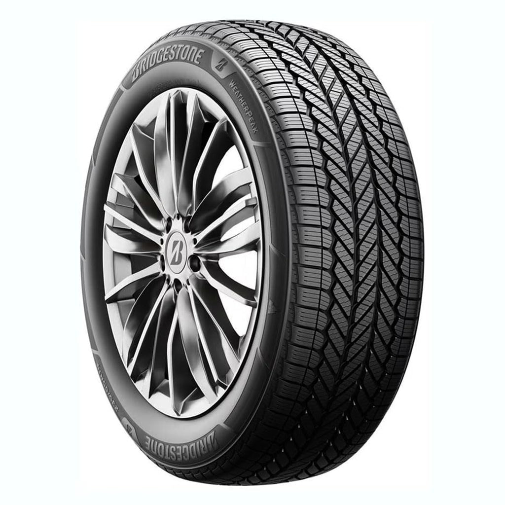 All Weather 265/60R18 110V Passenger Tire B691