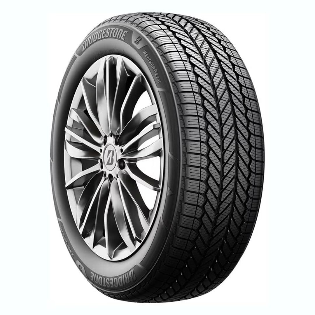 All Weather 265/60R18 110V Passenger Tire B691