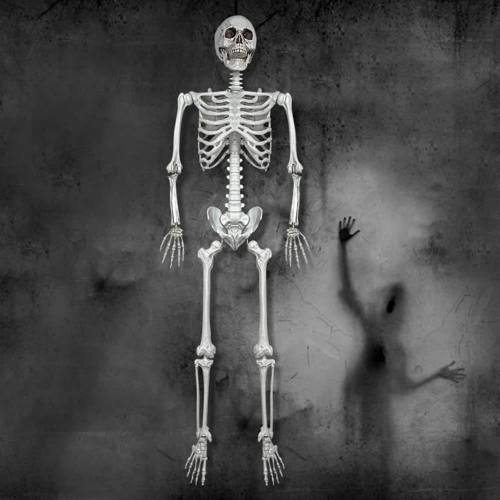 5.4Ft Life Size Skeleton with Movable Joints H393050
