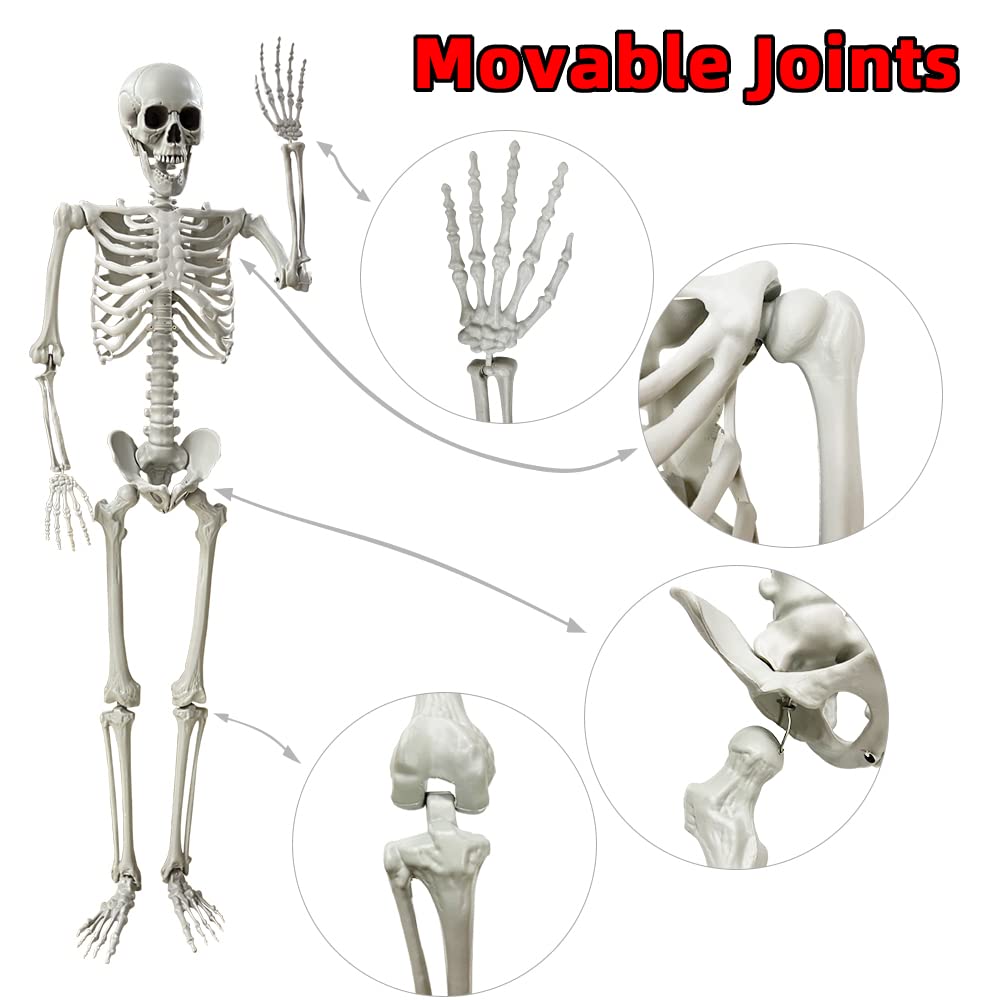 5.4Ft Life Size Skeleton with Movable Joints H393050