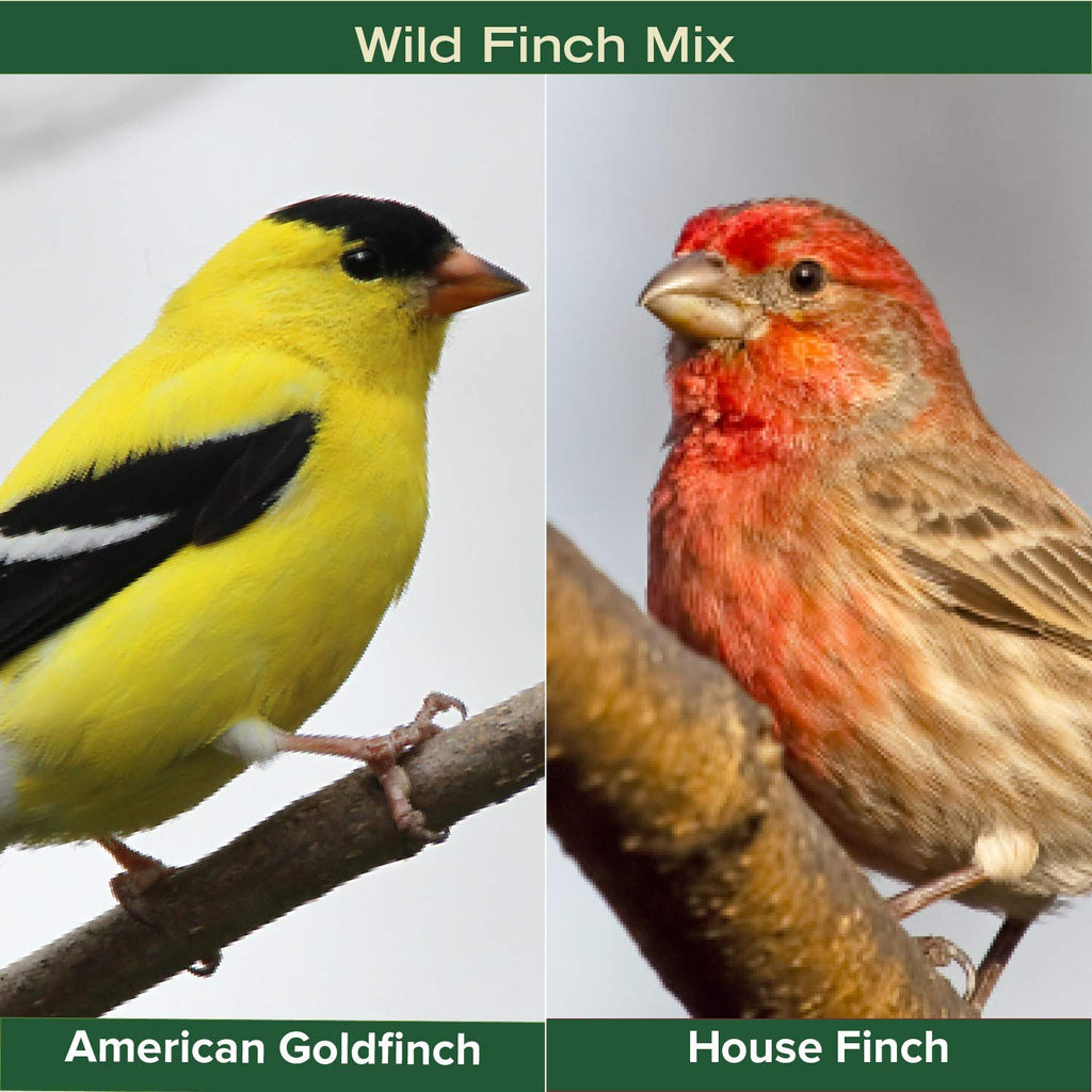 Finch Wild Bird Seed 20lb Bag N31074