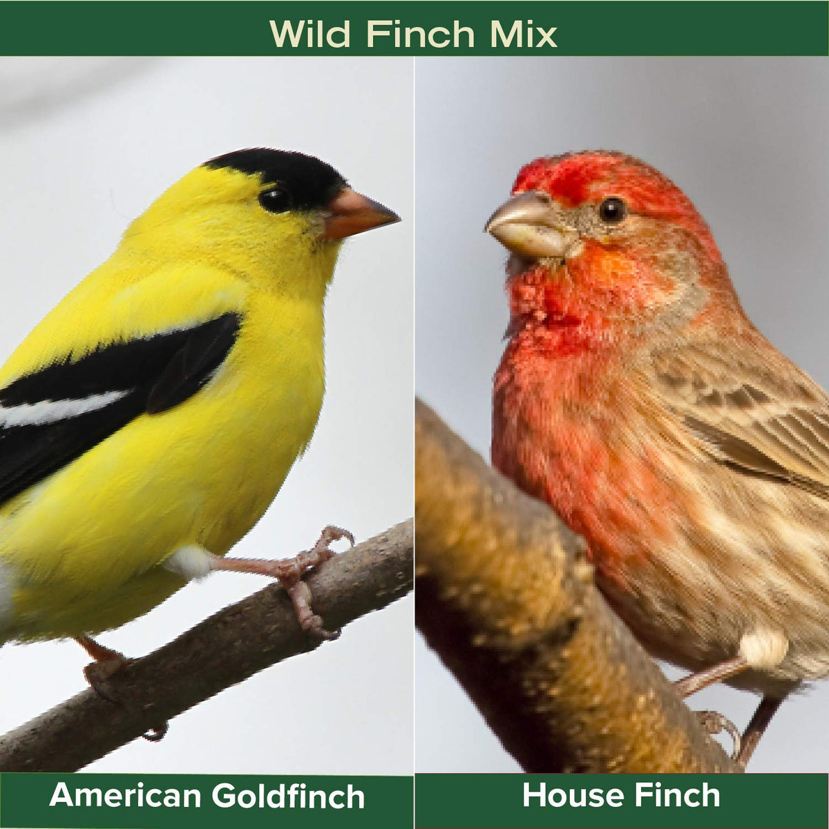 Finch Wild Bird Seed 20lb Bag N31074