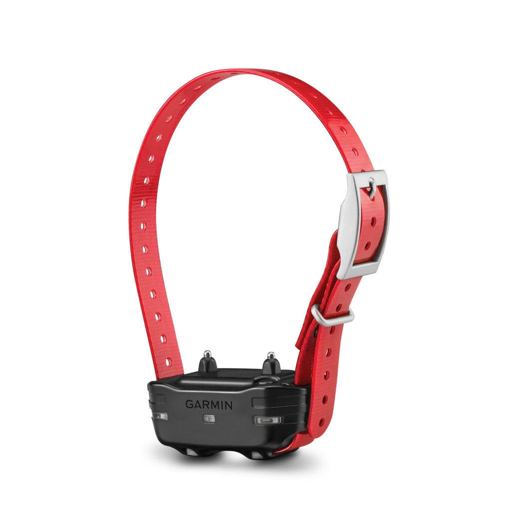 Red Dog Collar L397249