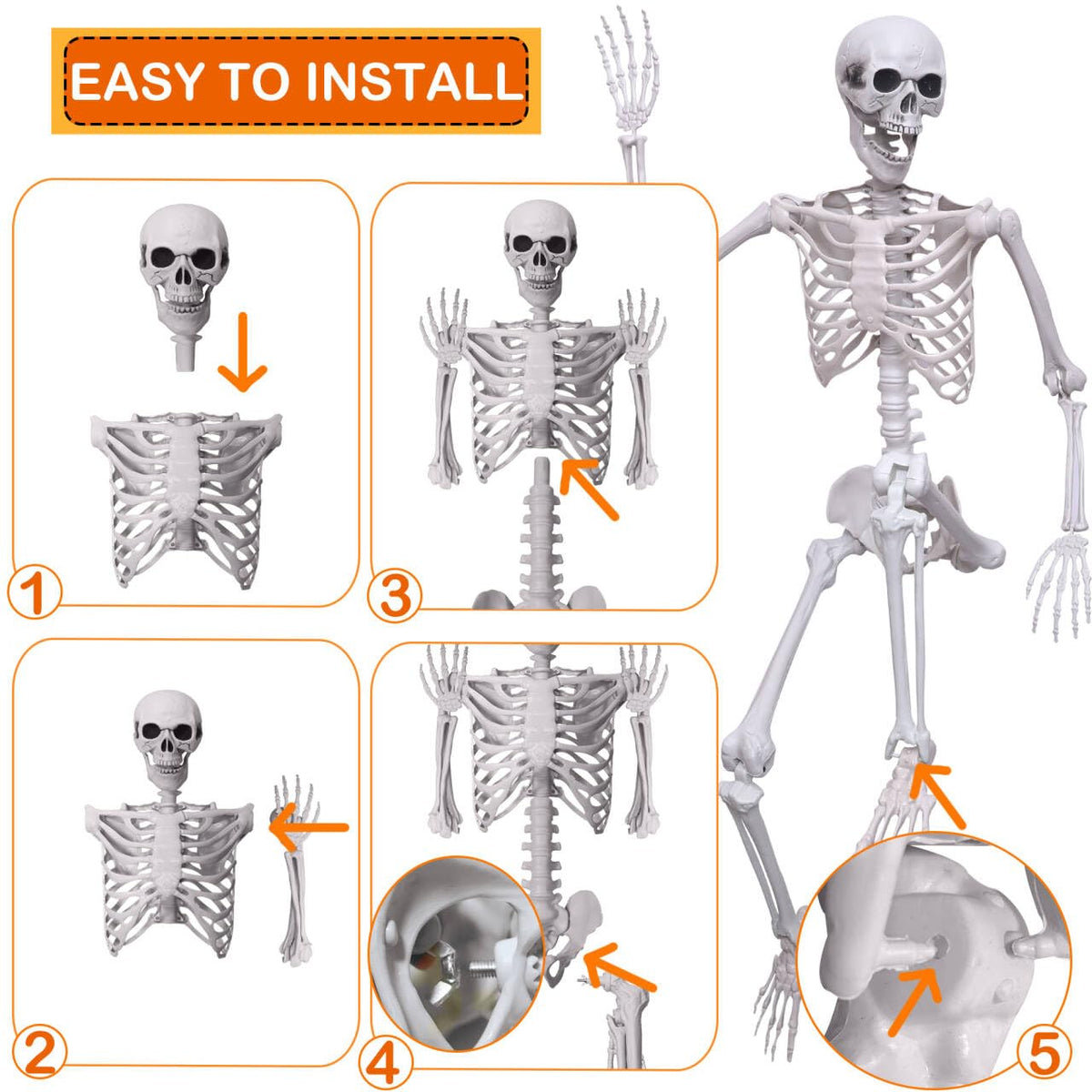 5.4Ft Life Size Skeleton with Movable Joints H393050