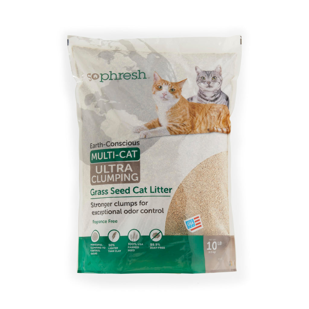 Unscented Clumping Grass Seed Cat Litter 10 lbs C364804