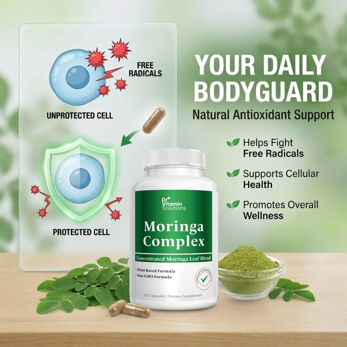 Moringa Oleifera Capsules with 20:1 Leaf Extract H5831