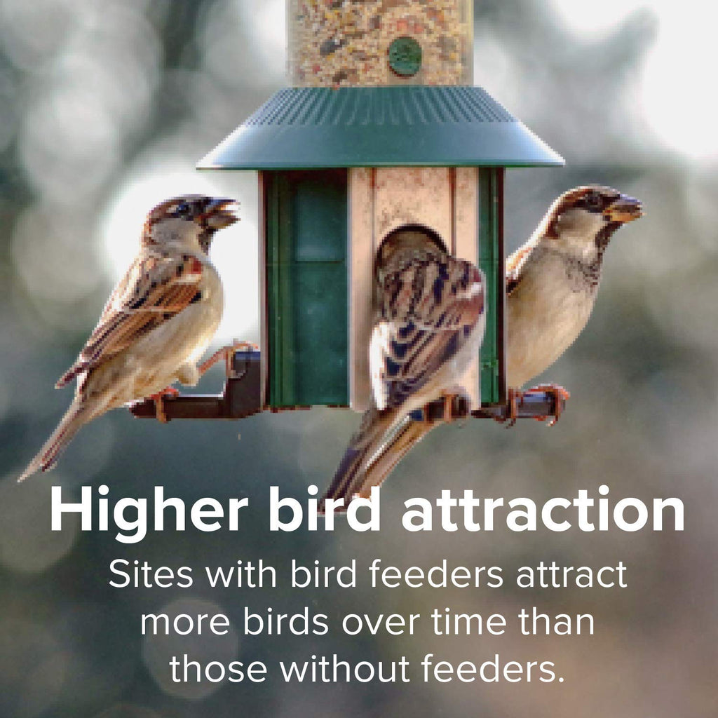 Finch Wild Bird Seed 20lb Bag N31074