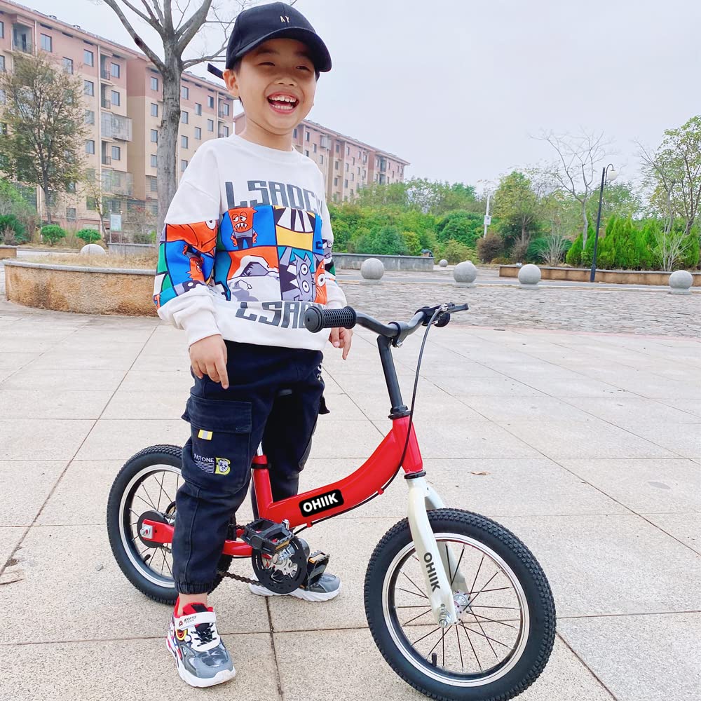 2 in 1 Balance Bike with Pedal Kit, Training Wheels, Brakes H537940
