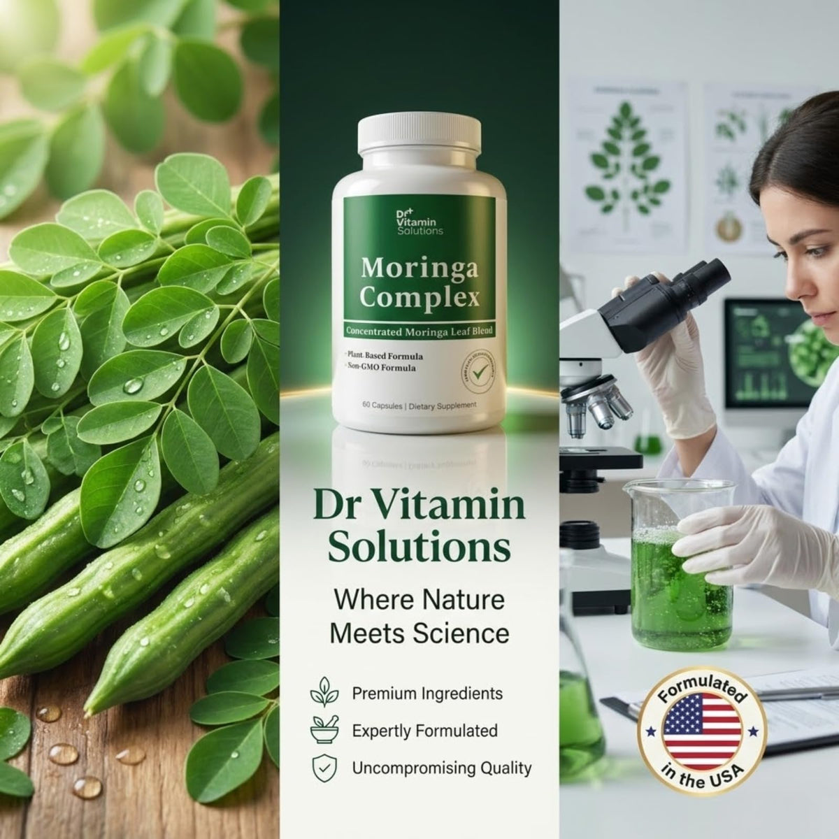Moringa Oleifera Capsules with 20:1 Leaf Extract H5831