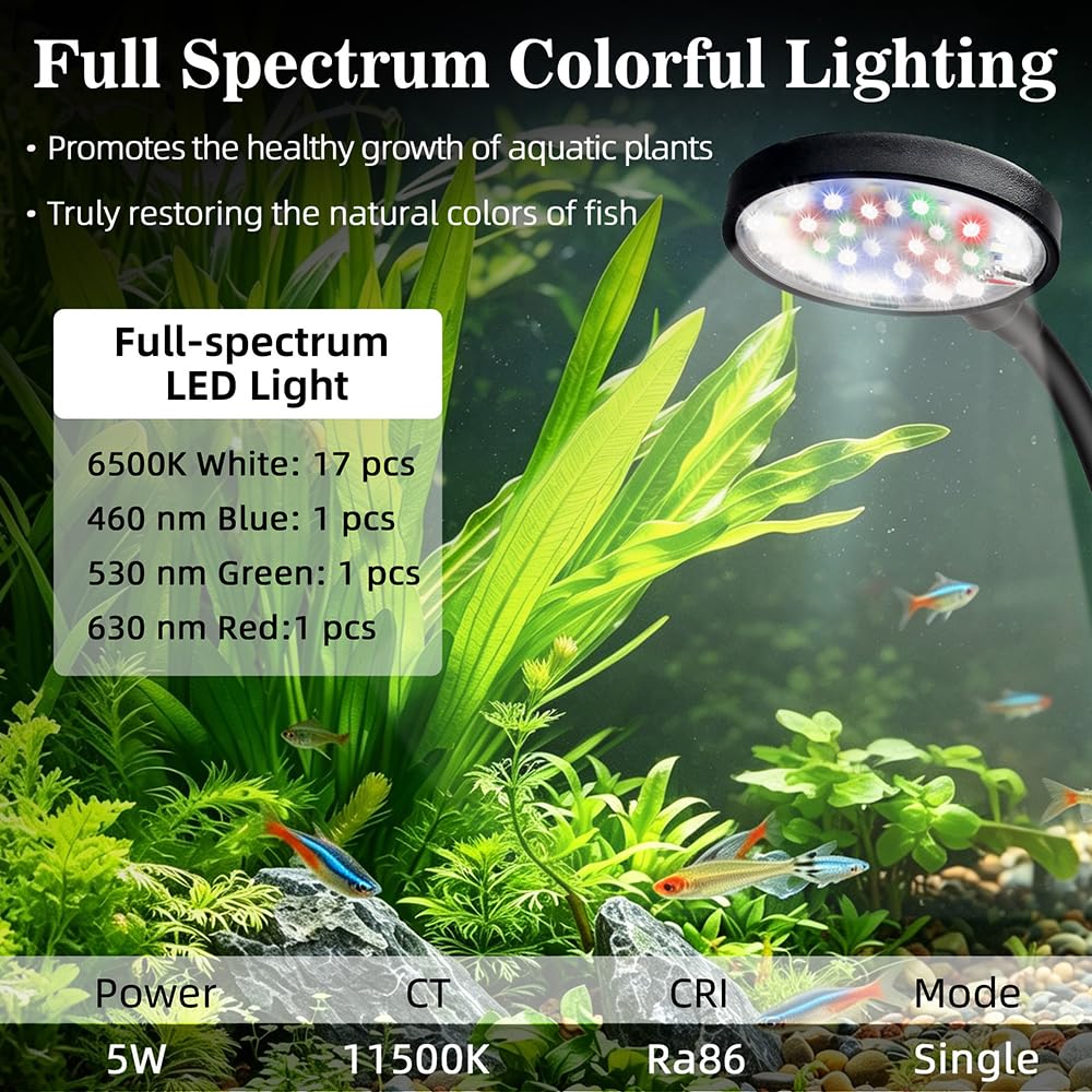 1 Gallon Plastic Aquarium Starter Kit with USB Filtration and Lighting K186