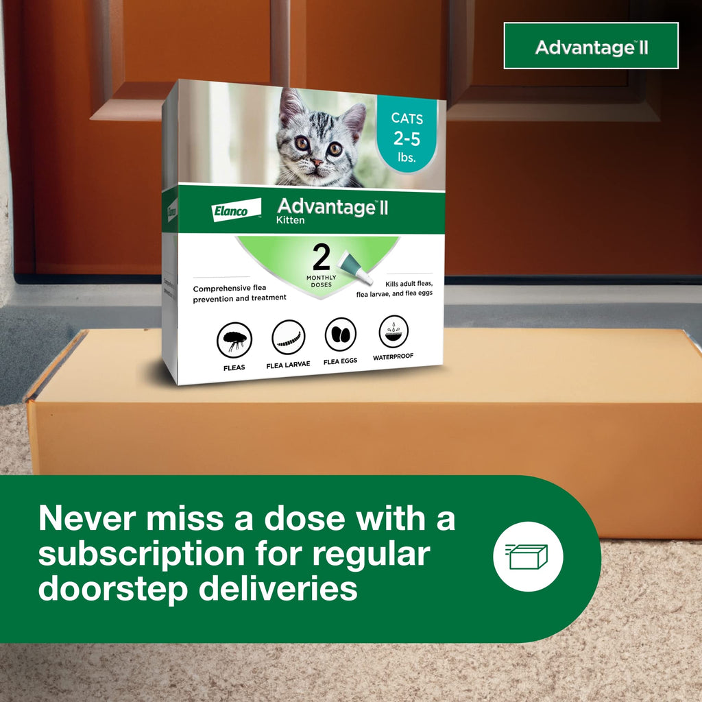 Topical Flea Treatment & Prevention 2ct S82075
