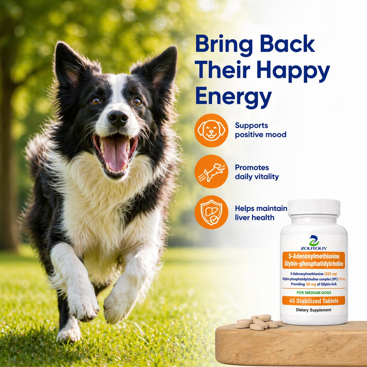 Silybin Tablets for Dogs I41740
