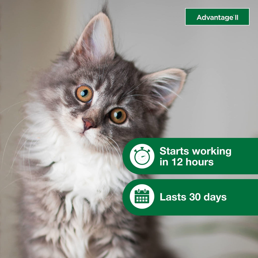 Topical Flea Treatment & Prevention 2ct S82075