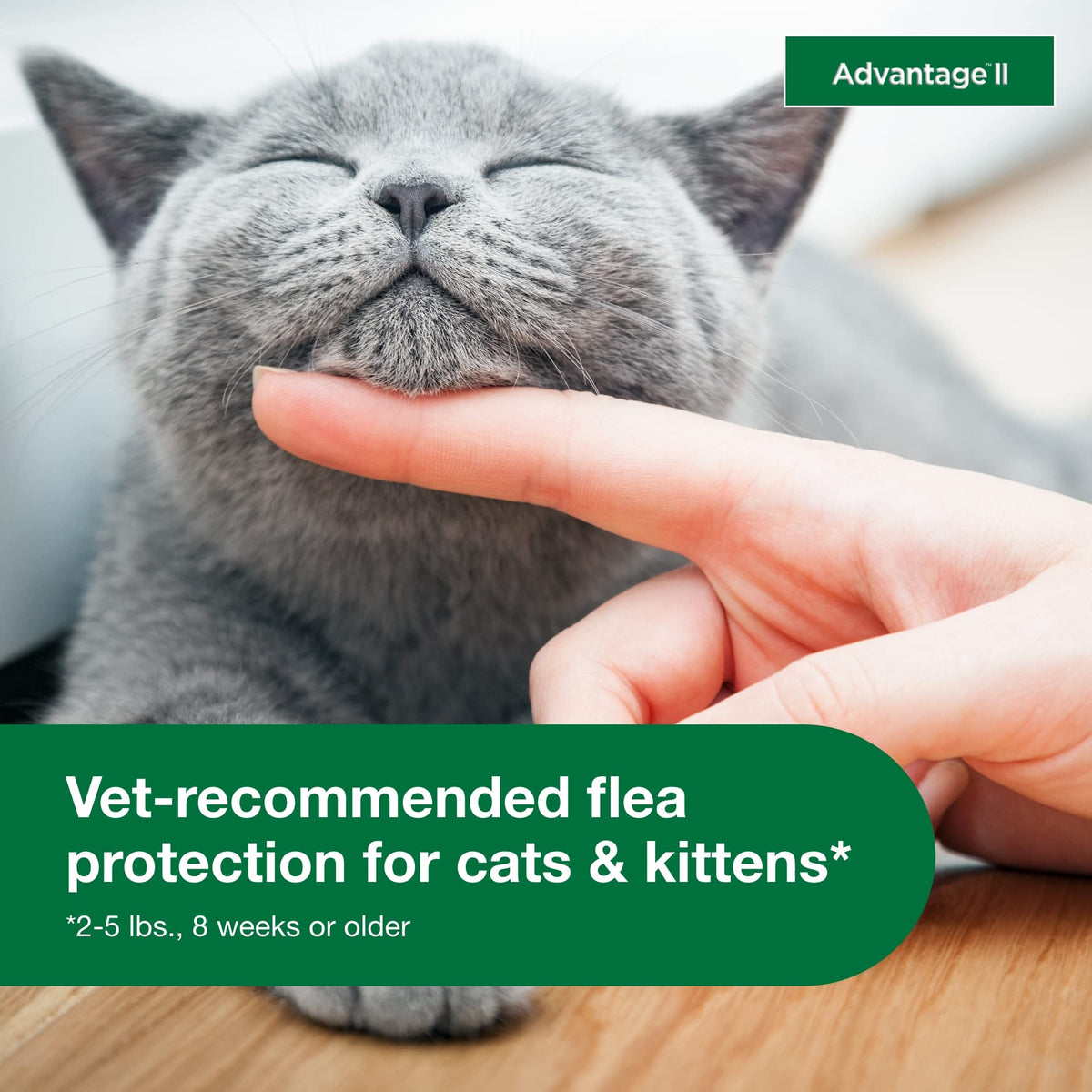 Topical Flea Treatment & Prevention 2ct S82075
