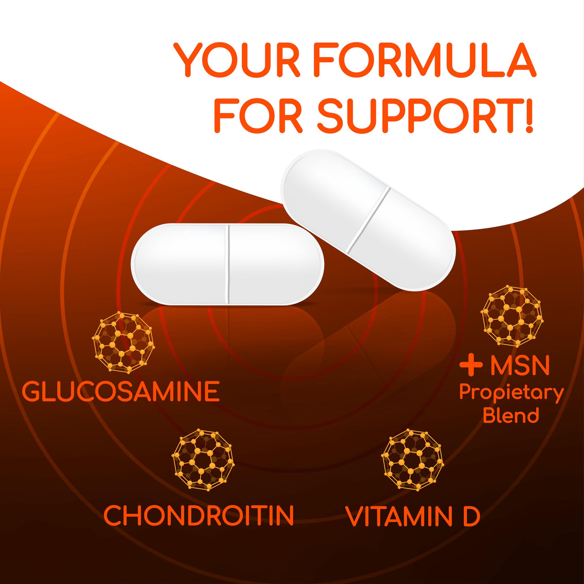Joint Support Supplement 60 Count 6 Pack Q121
