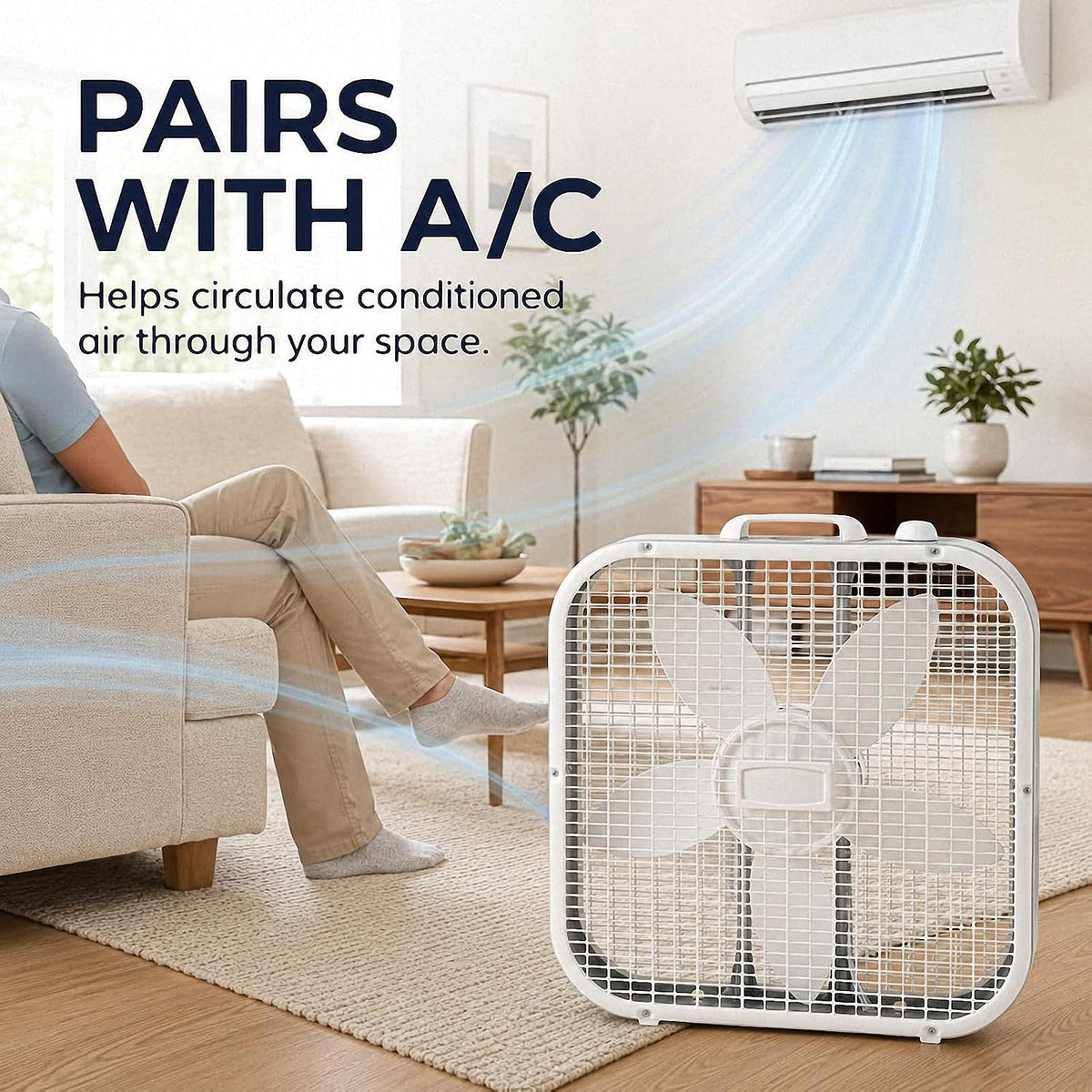 20 Inch 3-Speed White Box Fan S16562