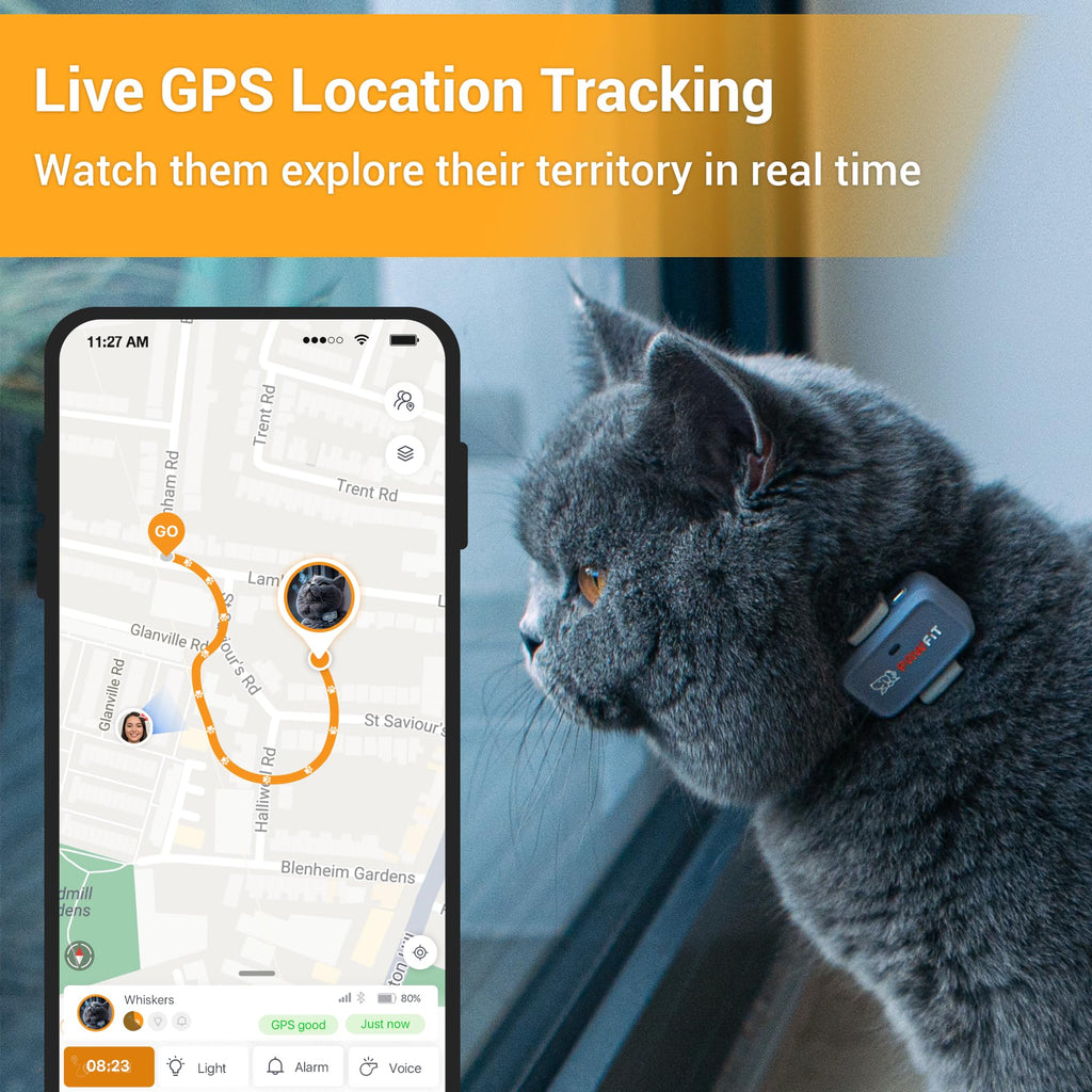 4G GPS Cat Tracker Ultra-Light Q432183