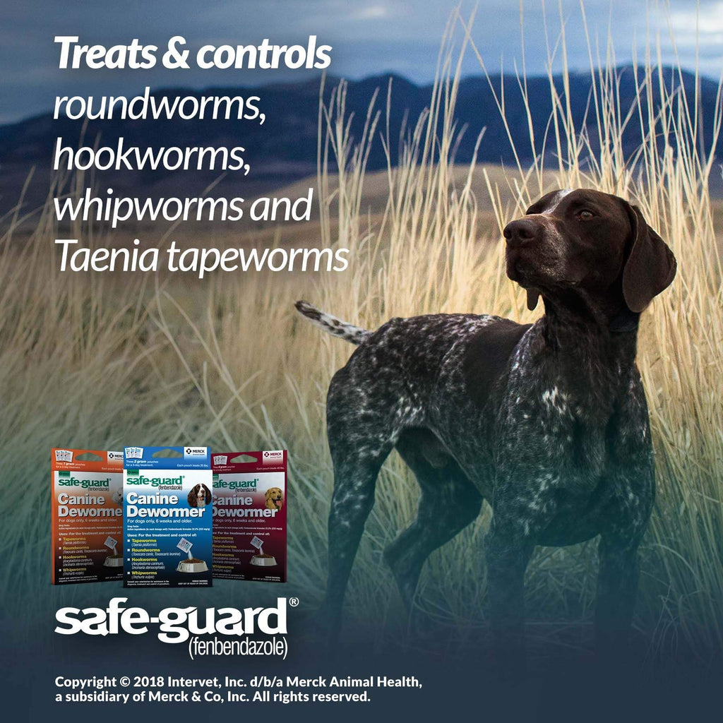 Canine Dewormer 2gm Pouch Pack of 3 P1545