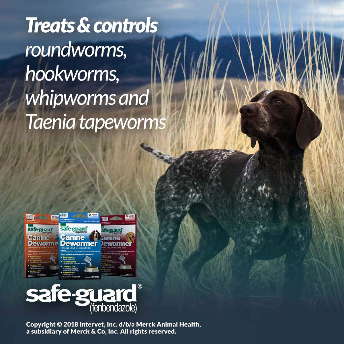 Canine Dewormer 2gm Pouch Pack of 3 P1545