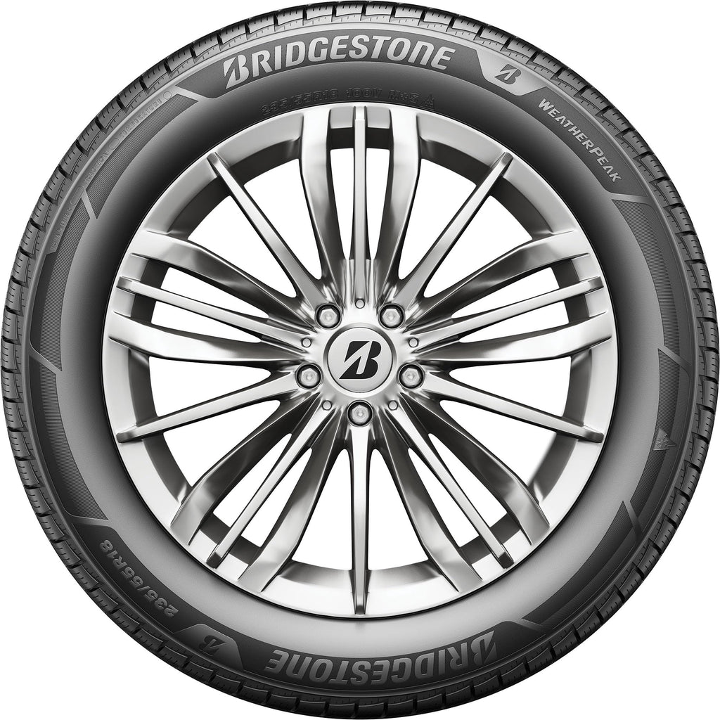 All Weather 265/60R18 110V Passenger Tire B691