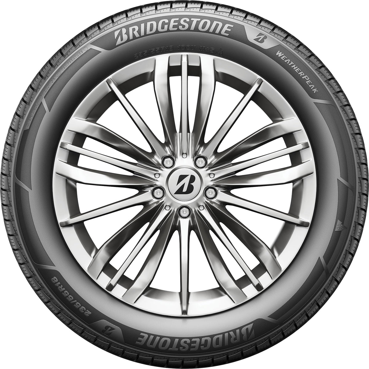 All Weather 265/60R18 110V Passenger Tire B691