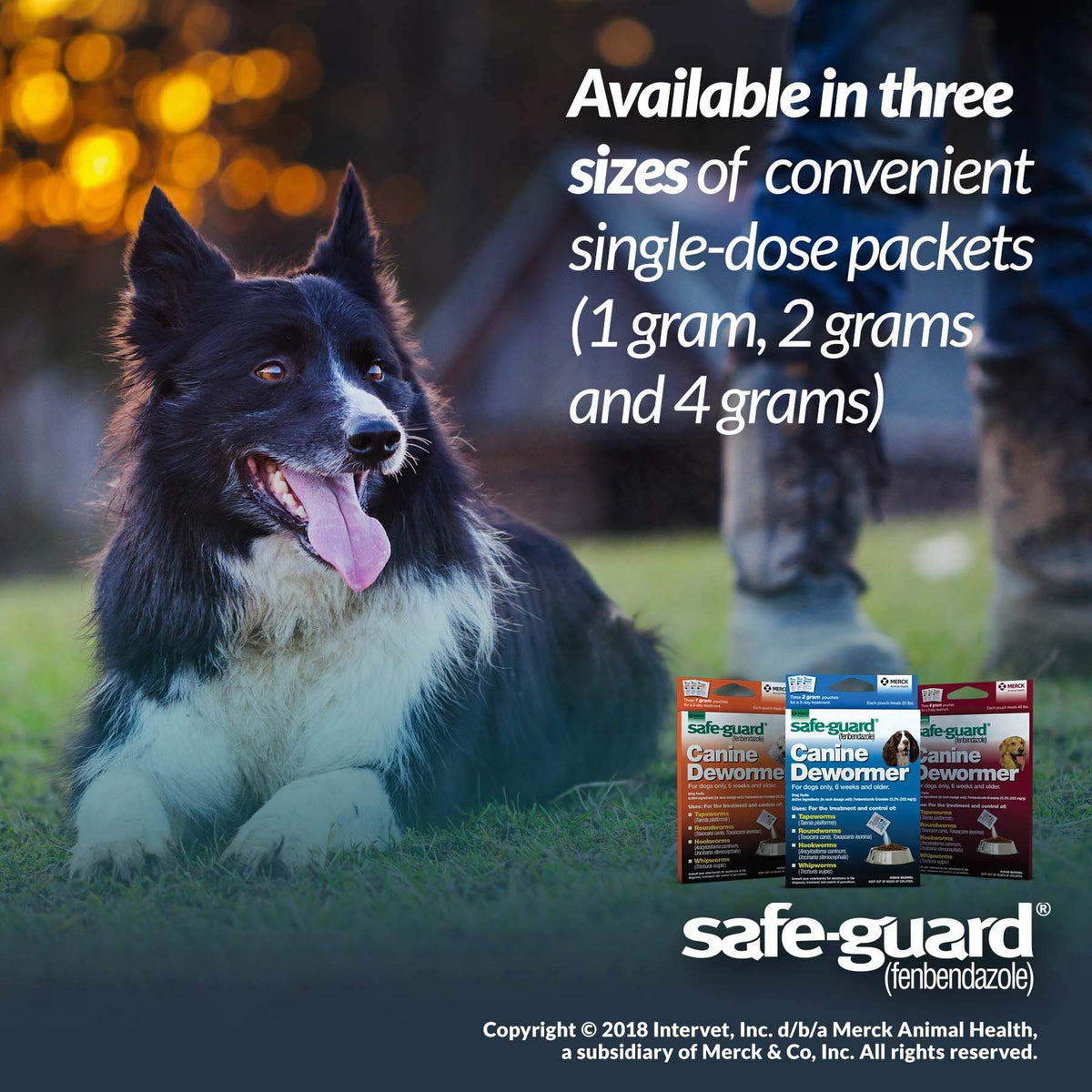 Canine Dewormer 2gm Pouch Pack of 3 P1545