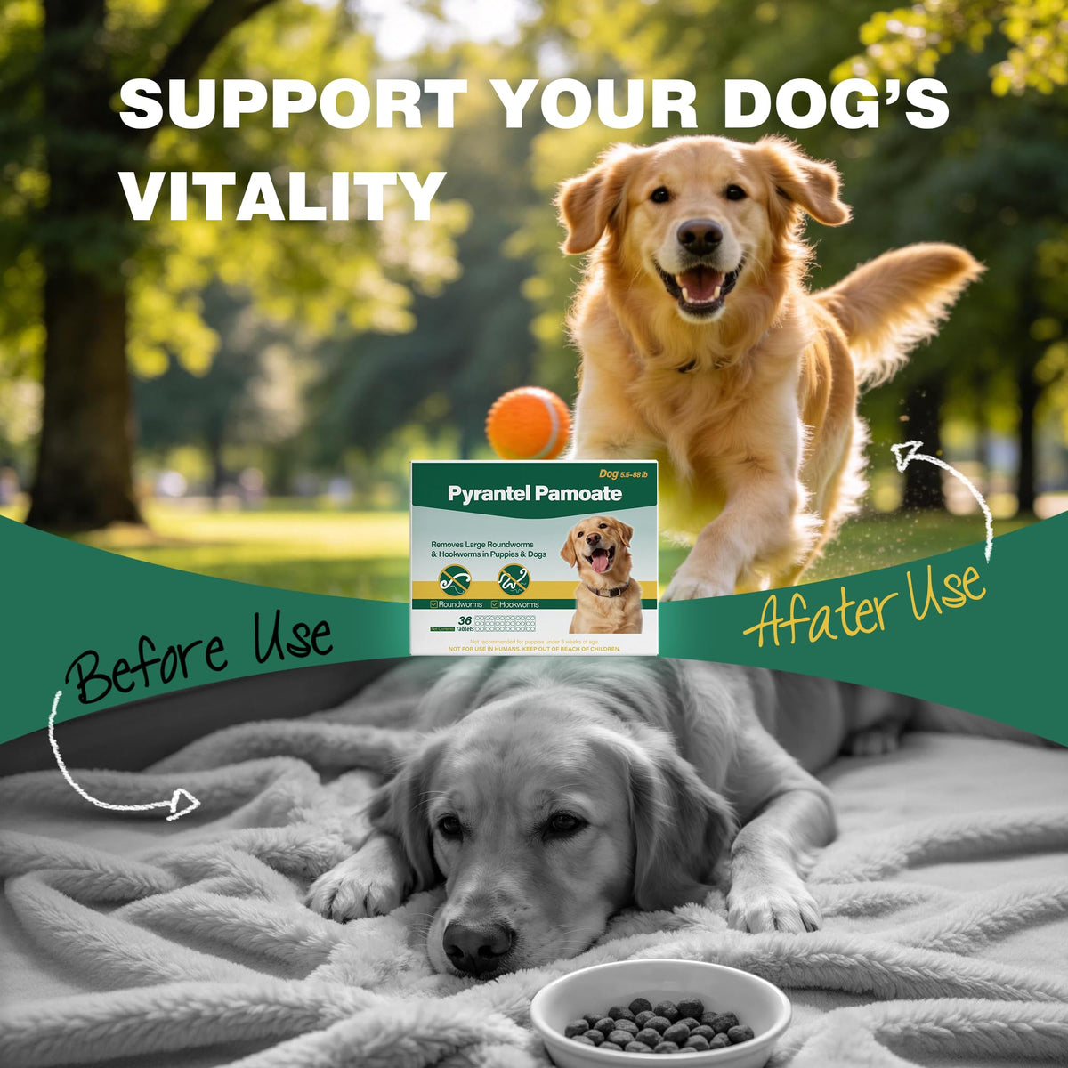 Chewable Pyrantel Pamoate Dog Dewormer 36 Tablets W165