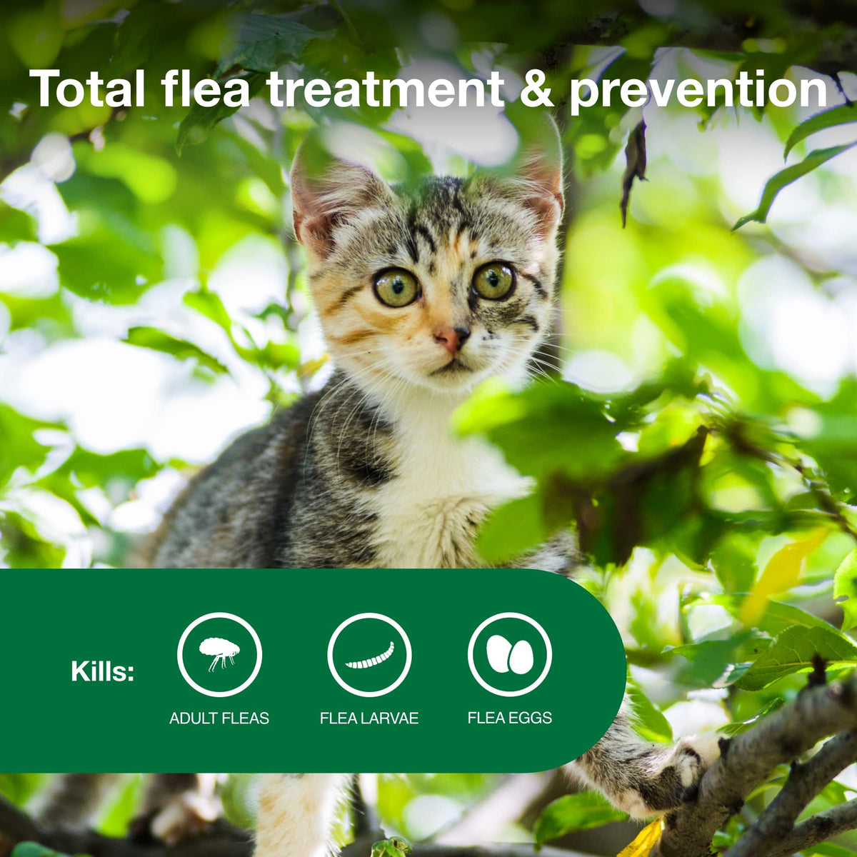 Topical Flea Treatment & Prevention 2ct S82075