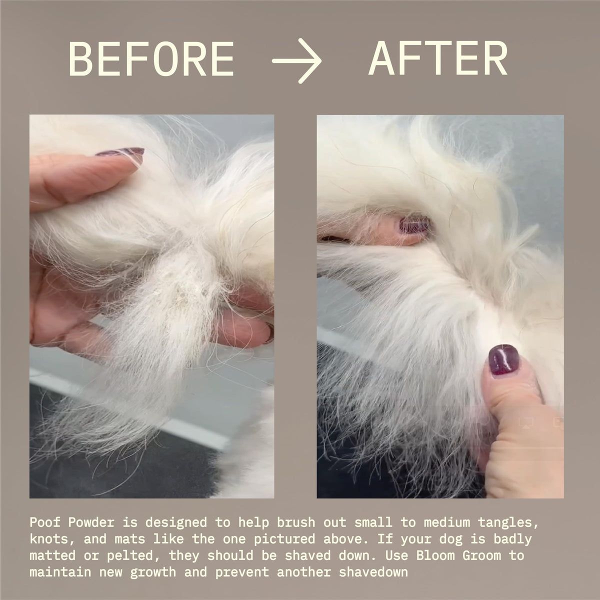 Waterless Dry Shampoo and Detangler for Dogs 1.52 oz C6556