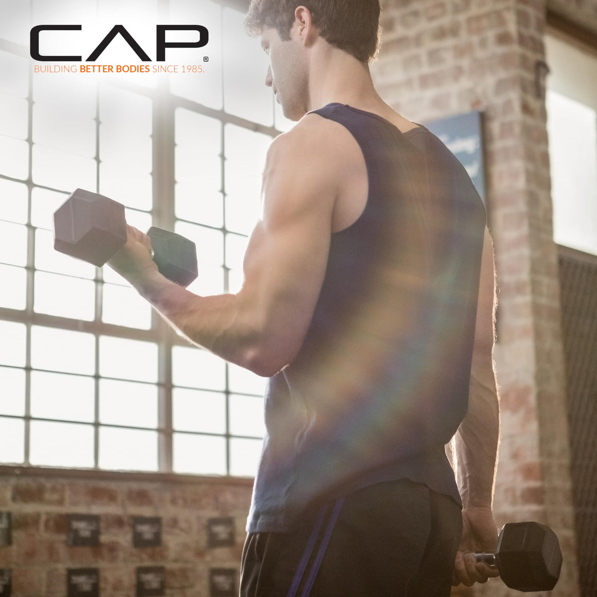 Rubber Coated Hex Dumbbell E704