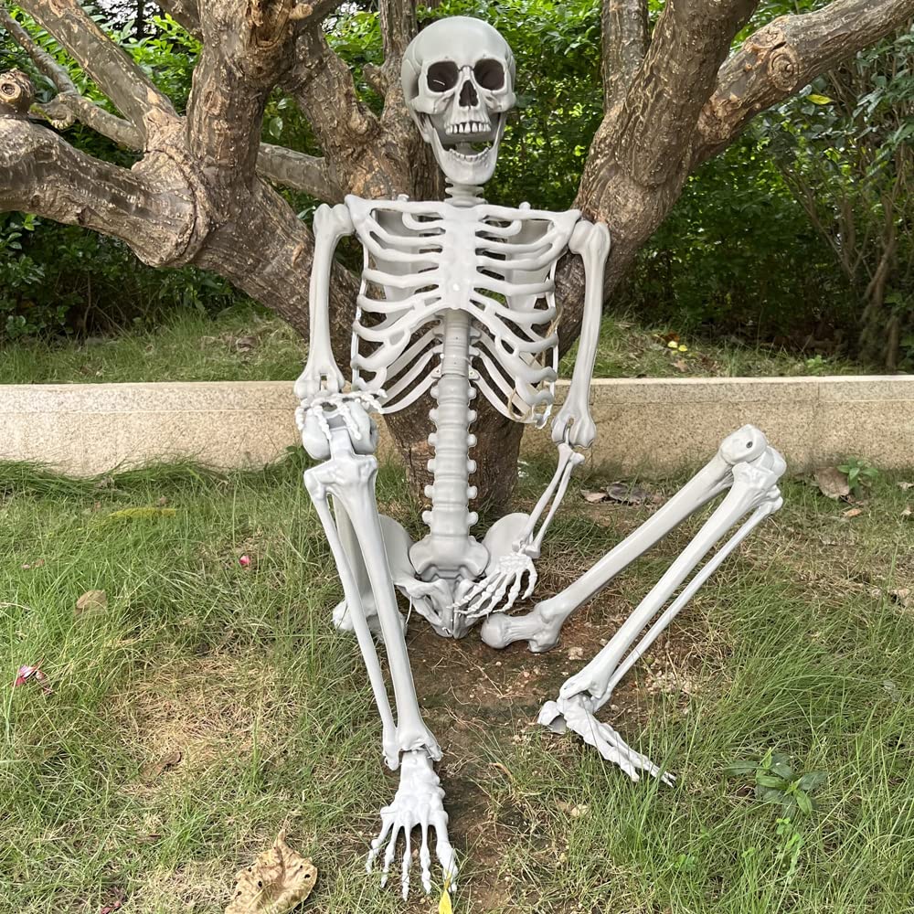 5.4Ft Life Size Skeleton with Movable Joints H393050