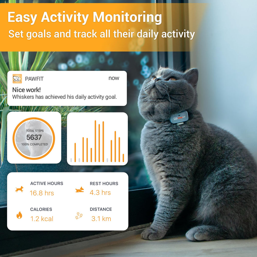 4G GPS Cat Tracker Ultra-Light Q432183