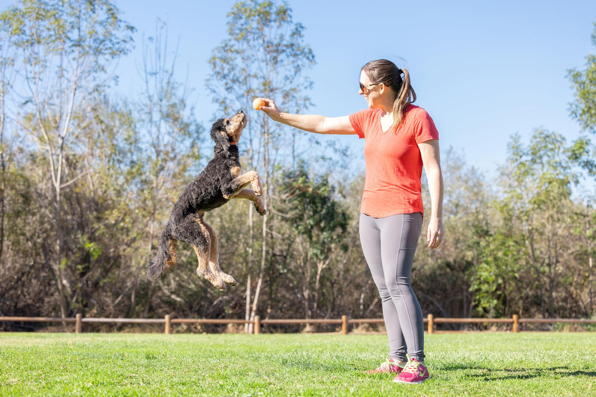Medium Fetch Ball N72440