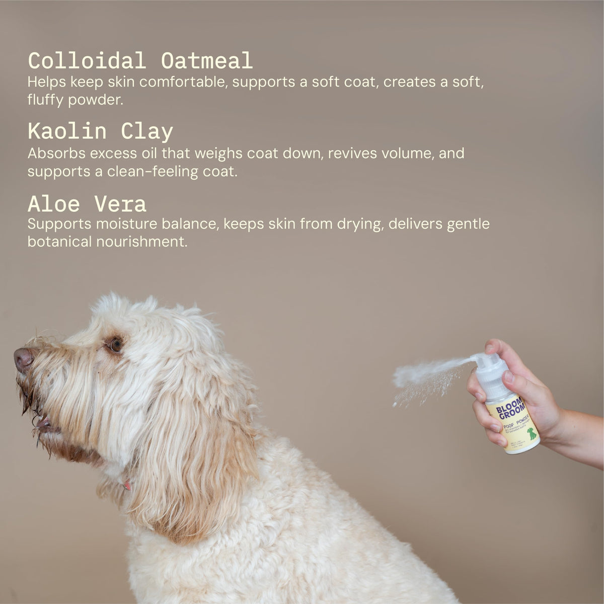 Waterless Dry Shampoo and Detangler for Dogs 1.52 oz C6556
