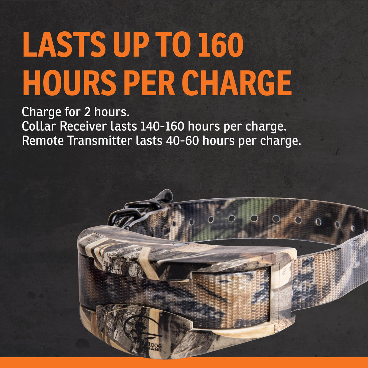 Remote Trainer 1 Mile Range 21 Static Levels R18490
