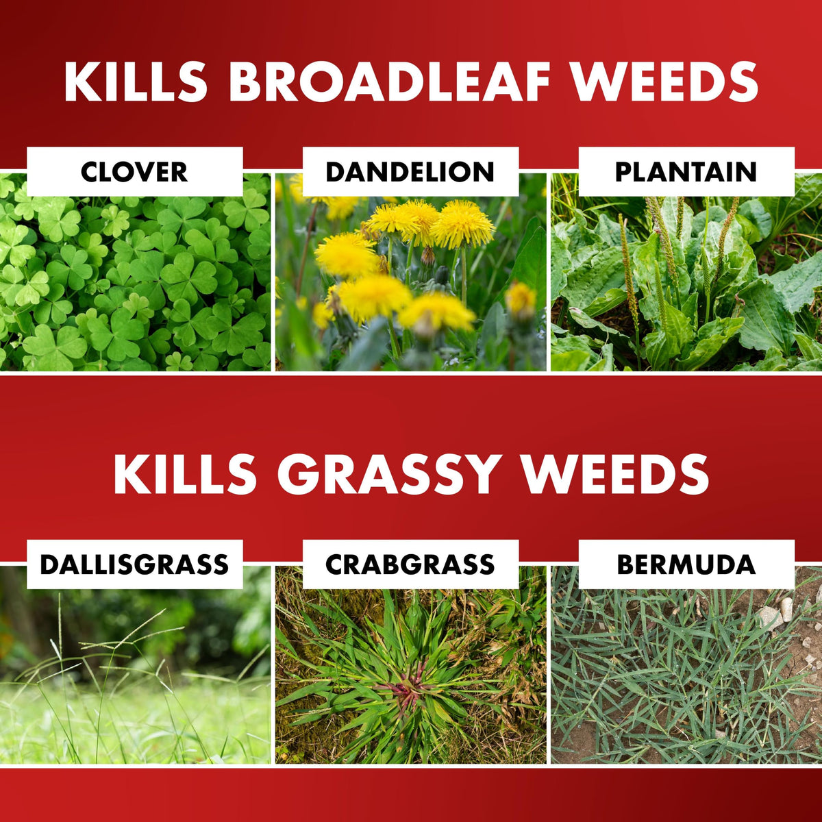 1 Gal Weed & Grass Killer E275