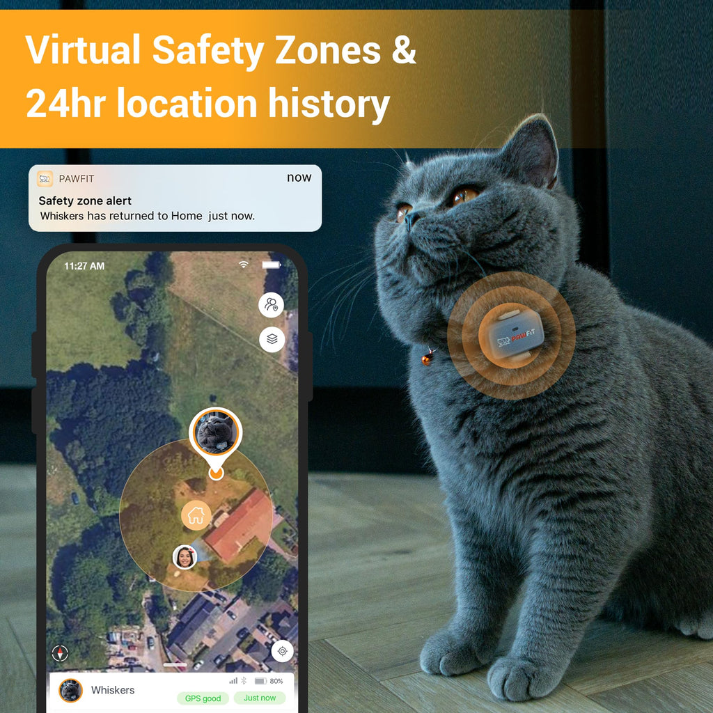 4G GPS Cat Tracker Ultra-Light Q432183
