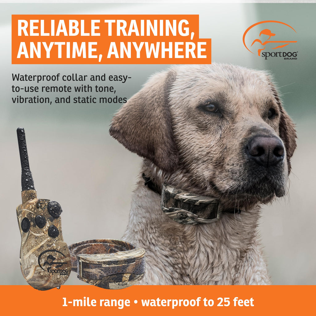 Remote Trainer 1 Mile Range 21 Static Levels R18490